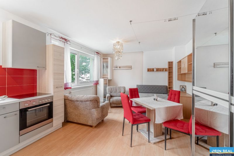 A kitchen with a dining table and a sofa in a studio apartment, floor with wood decor.