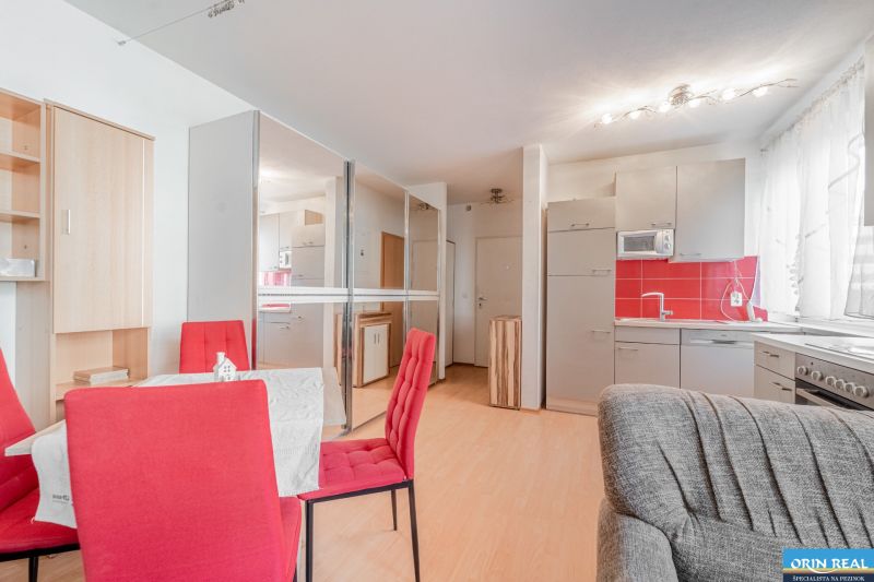 Living space in a one-room apartment with a kitchen, wooden decor flooring, and red elements.