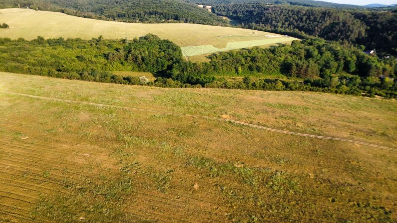 A picturesque landscape near Banka with agricultural and forest lands on the hills.