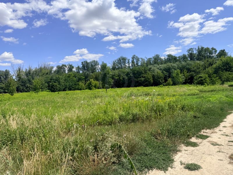 Agricultural and forest land in Zálesie, a green meadow with trees and a blue sky.