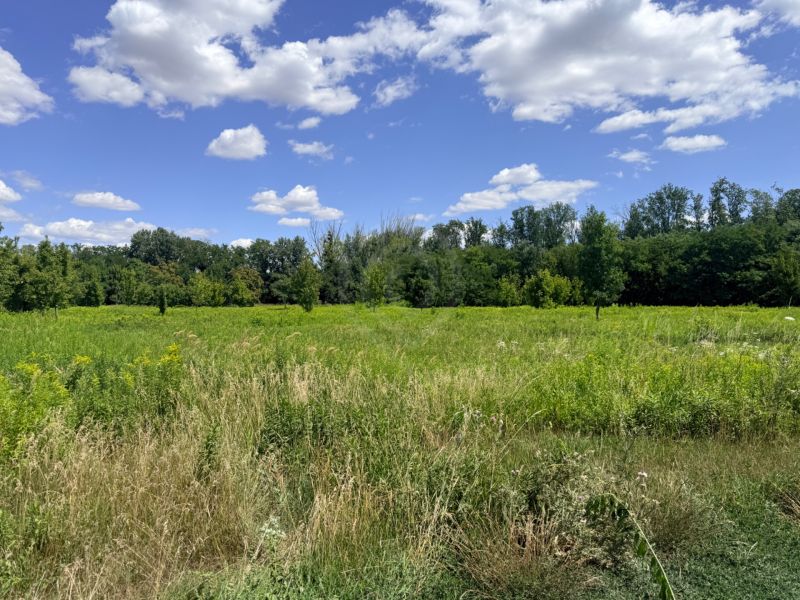 A meadow on agricultural and forest land in Zálesie under a blue sky.
