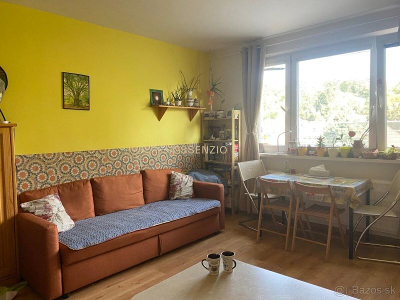 Living room in a two-room apartment with a sofa, table, and wall decorations.