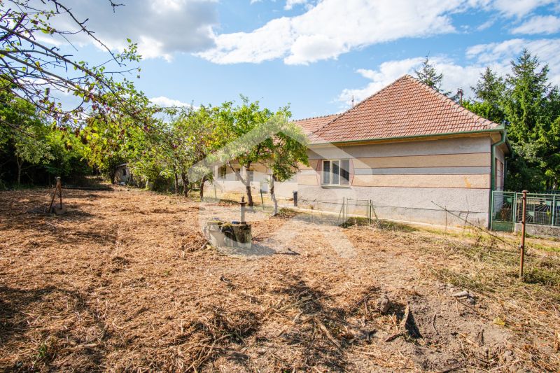 A family house in Kapince with a spacious garden featuring oriental trees and a well.