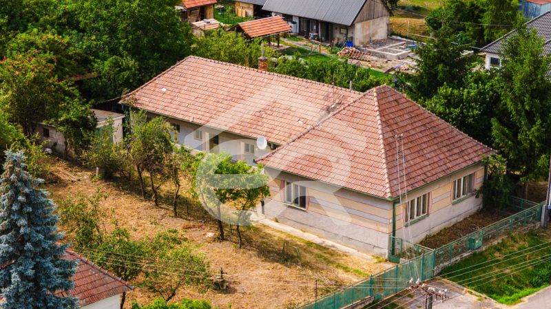 A family house in Kapince with a large garden, surrounded by green trees.