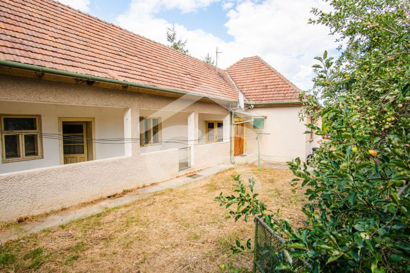 A family house in Kapince with a traditional roof and a garden full of greenery.