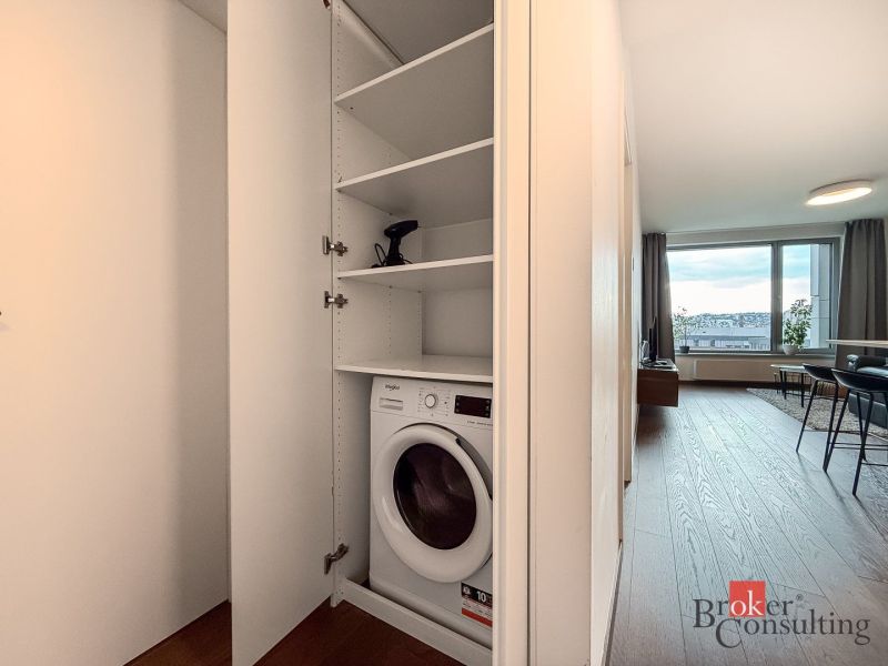 Open storage space with a washing machine and a living room in a 2-room apartment with wood-patterned flooring.