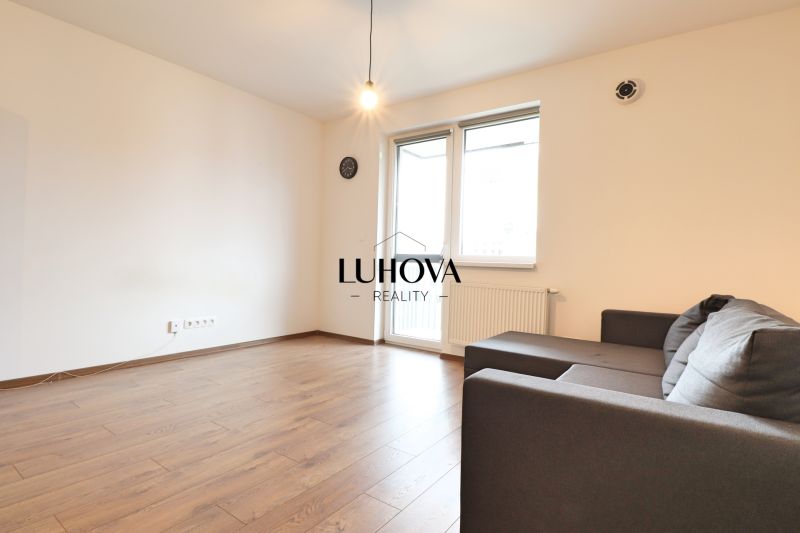Living room in a one-room apartment with a wooden decor floor and a sofa.