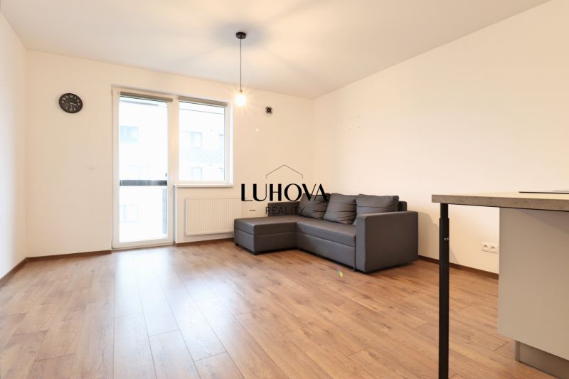 Interior of a 1-room apartment with a sofa, wood-patterned flooring, and a large window.
