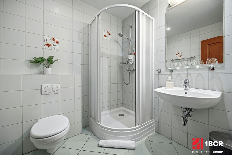 A bathroom in a family house with a toilet, shower, sink, and decorative plant.