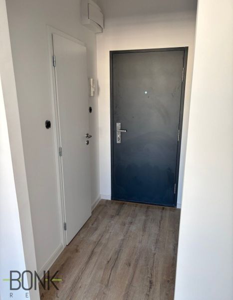 Entrance hallway with gray doors and wood-patterned flooring, 2-room apartment.