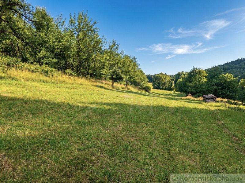 A grassy meadow in the village of Dobroč surrounded by forests and a blue sky.