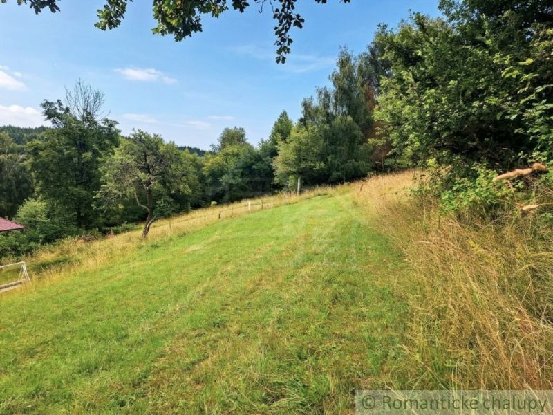 A sloped plot of land around the cottage in Dobroč with grass and forest.