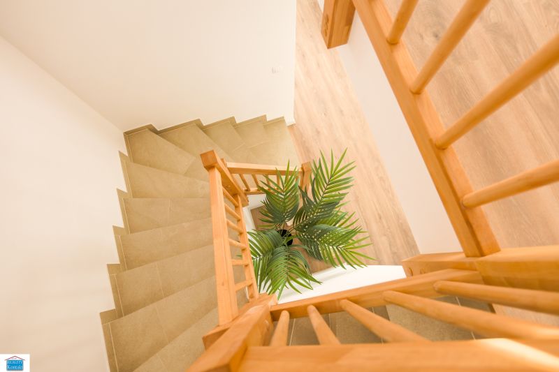 A staircase with a plant and a wooden decor floor in a family house.