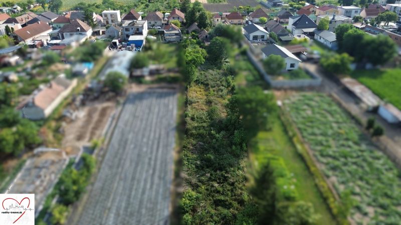 Aerial view of gardens and residential plots in the village and its surroundings.