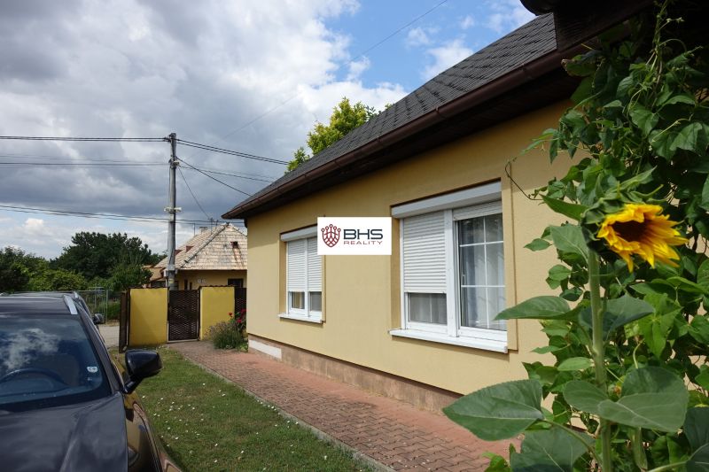 A family house on the Third Row, Mojmírovce, with a sunflower in front of the facade.