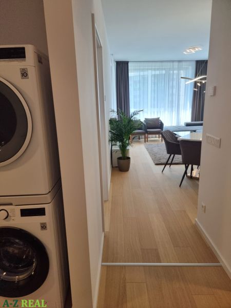 A hallway in a 2-room apartment with a washing machine, wooden decor flooring, and a plant.