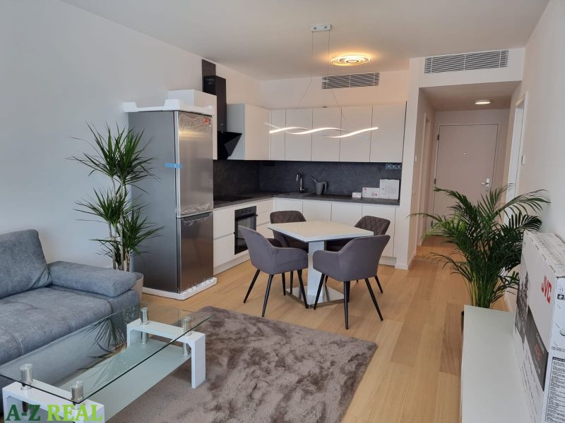 Living room with kitchen in a 2-room apartment, wooden decor flooring, elegant dining set.