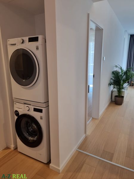 2-room apartment with wood-patterned flooring, storage space with a washing machine.
