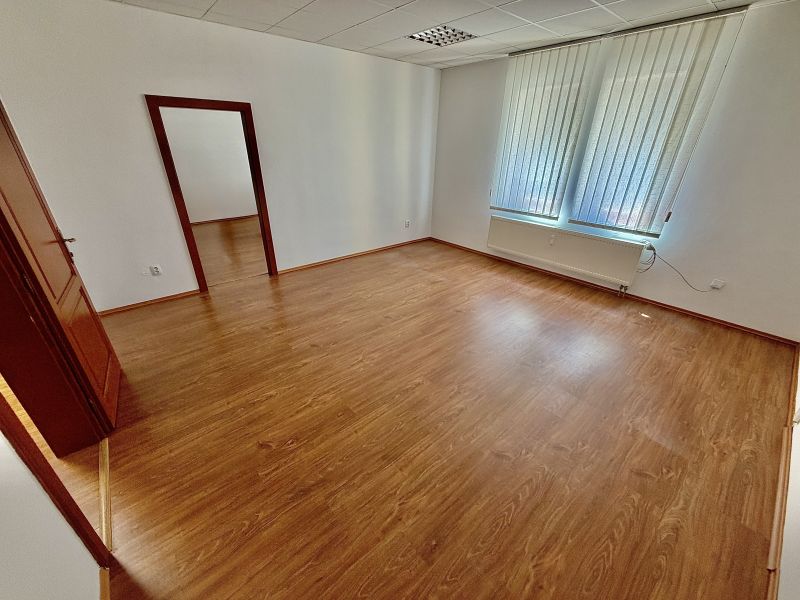 Offices with wood-patterned flooring and large windows for light.