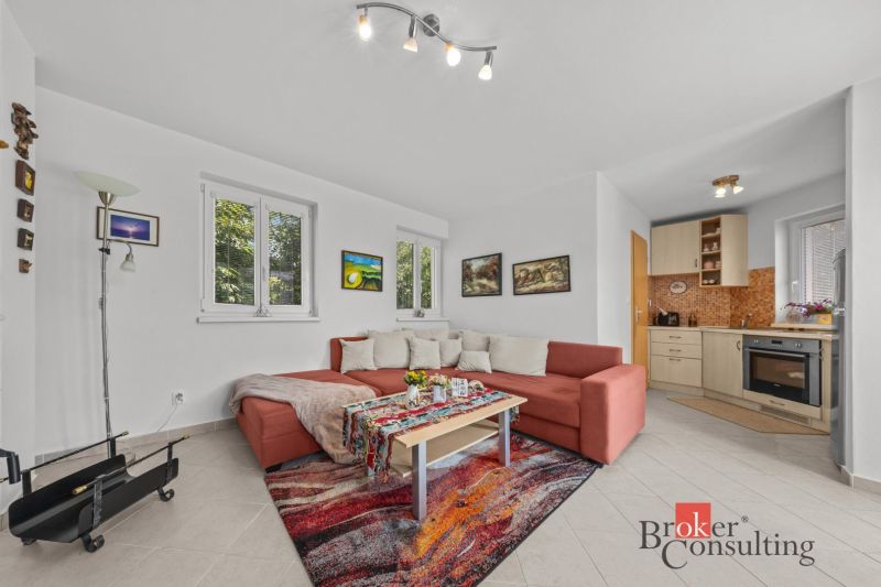 Living room with a red sofa, colorful carpet, and kitchenette in a cottage.