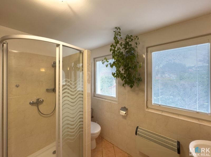 A bathroom in a family house with a glass shower enclosure and a plant by the window.