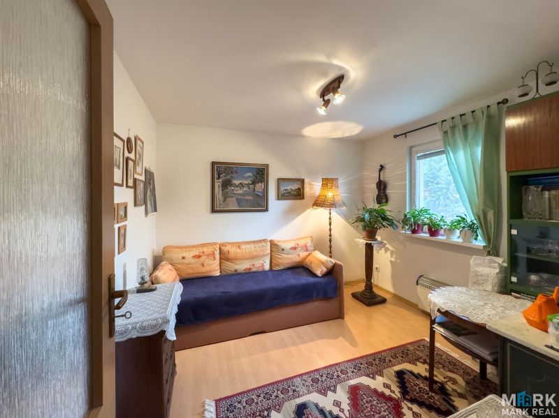 A room in a family house with a sofa, a carpet, paintings on the walls, plants by the window.