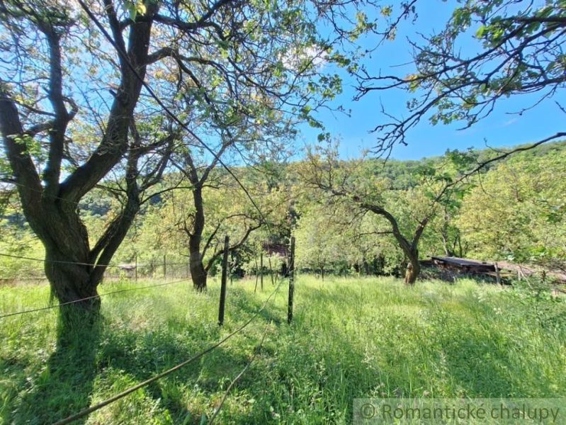 A garden with fruit trees near the cottage in Kamenica nad Hronom.