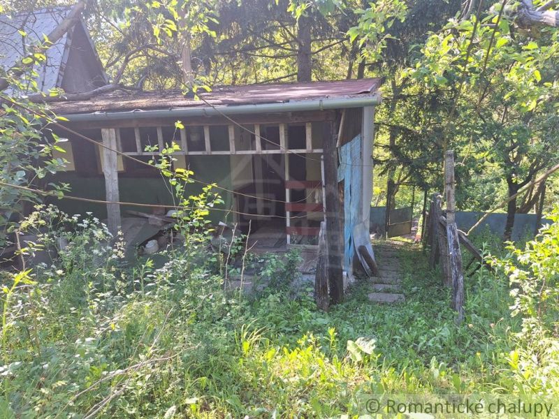 An old cottage in Kamenica nad Hronom surrounded by lush vegetation and trees.