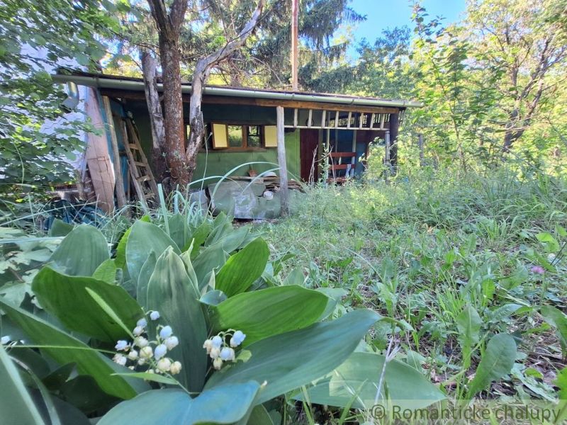 A cottage in Kamenica nad Hronom surrounded by greenery and trees, with blooming lilies of the valley in the foreground.