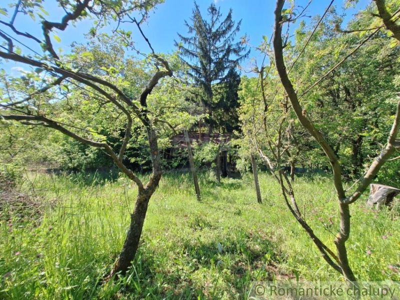 A cottage in Kamenica nad Hronom surrounded by trees and greenery.