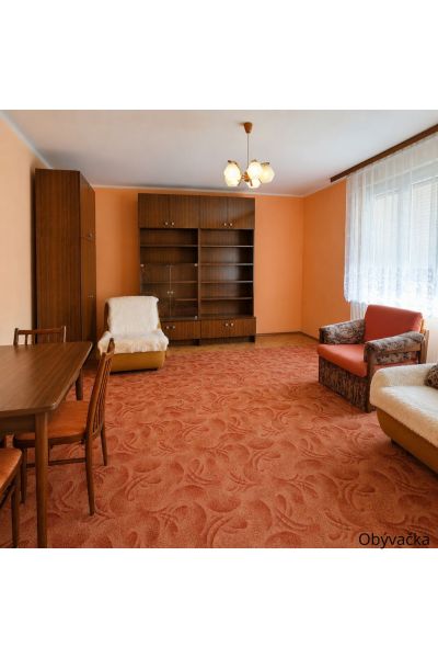 A living room in a family house with an orange carpet and wooden furniture.