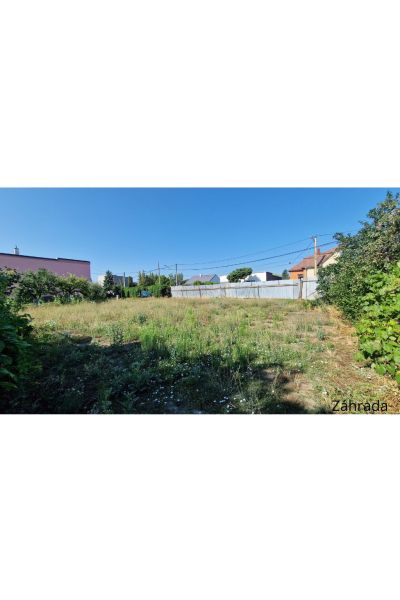 Garden at the family house on 29th August Street in Trebišov, green grassy area.