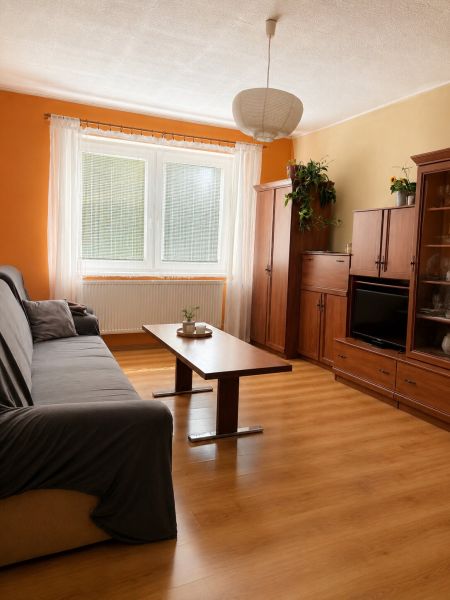 Living room with a sofa, wooden decor flooring, wooden furniture, houseplants, family house.