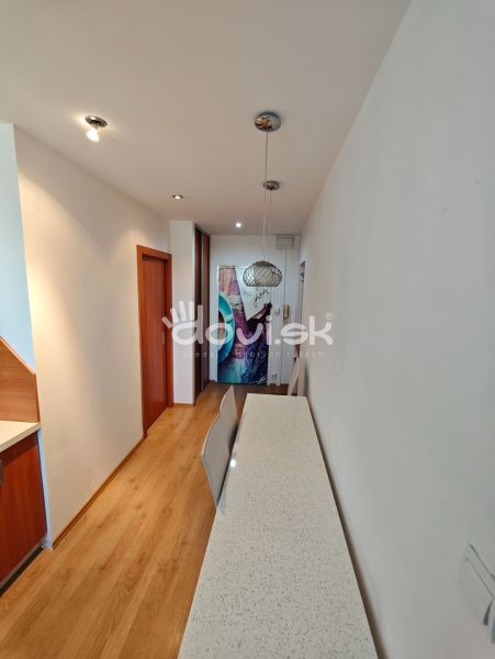 A narrow hallway in a one-room apartment with a wooden-decor floor and a pendant light.