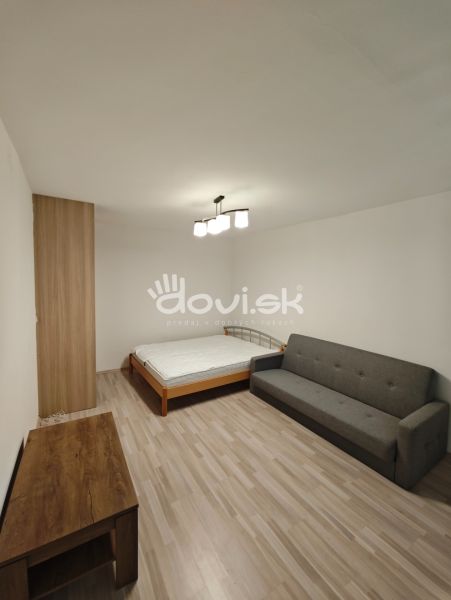 Living room in a studio apartment with a sofa, bed, and wooden decor flooring.