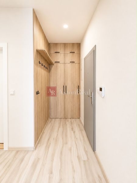 Entrance hall in a 3-room apartment with wood-patterned flooring and storage space.