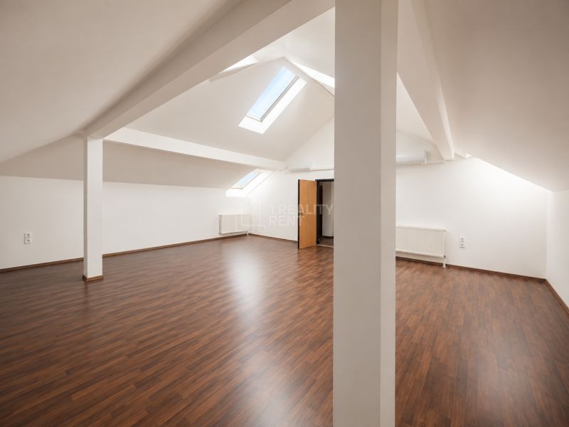 Attic offices with wooden decor flooring, skylights, and radiators.
