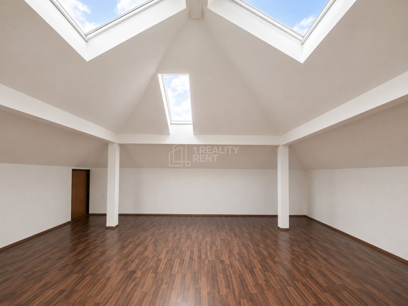 Spacious offices with wood-patterned flooring and skylights.