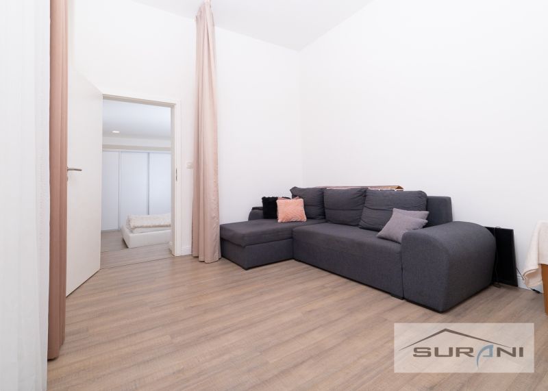 Living room in a two-room apartment with a dark gray sofa and a wooden decor floor.