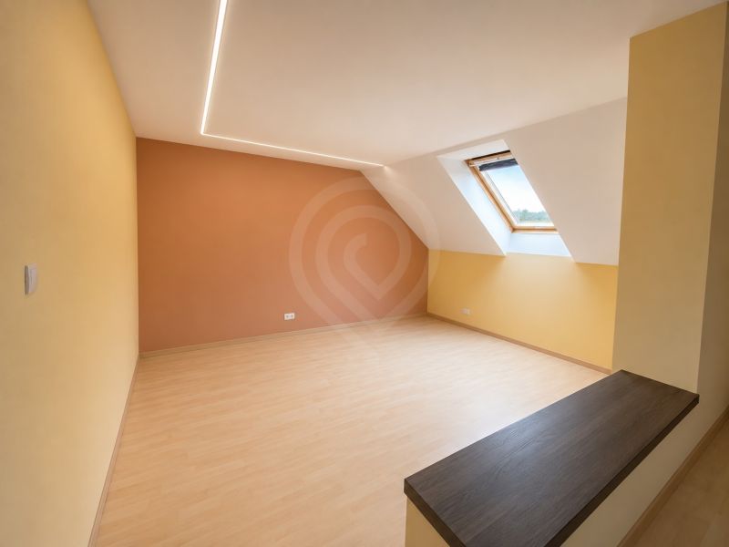 Attic room with wood-patterned flooring and a skylight in a family house.
