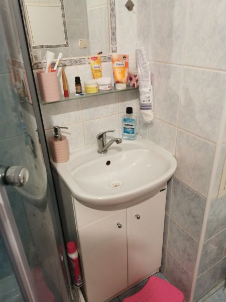 A bathroom in a studio apartment with a sink, mirror, and shower corner.