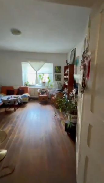 A room in a family house with a wooden decor floor and lots of plants.