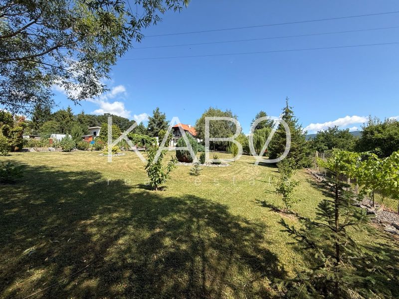A garden at a family house in Čaradice with a view of trees and a blue sky.