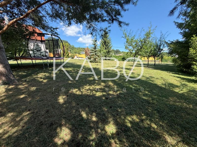 The garden of a family house in Čaradice with a trampoline and fruit trees.