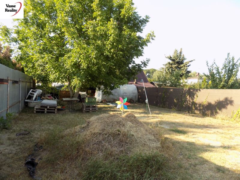 A garden with wooden pallets and trees near a cottage in Nové Zámky on the Pumpkin Field.
