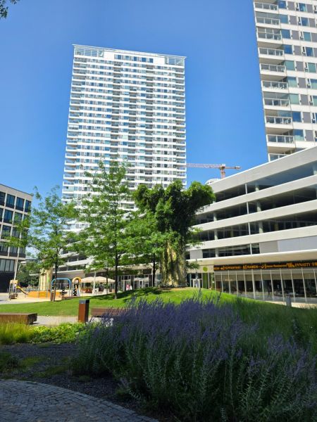 Bratislava - Staré Mesto, Landererova: A taller residential building with a children's playground and greenery in the foreground.
