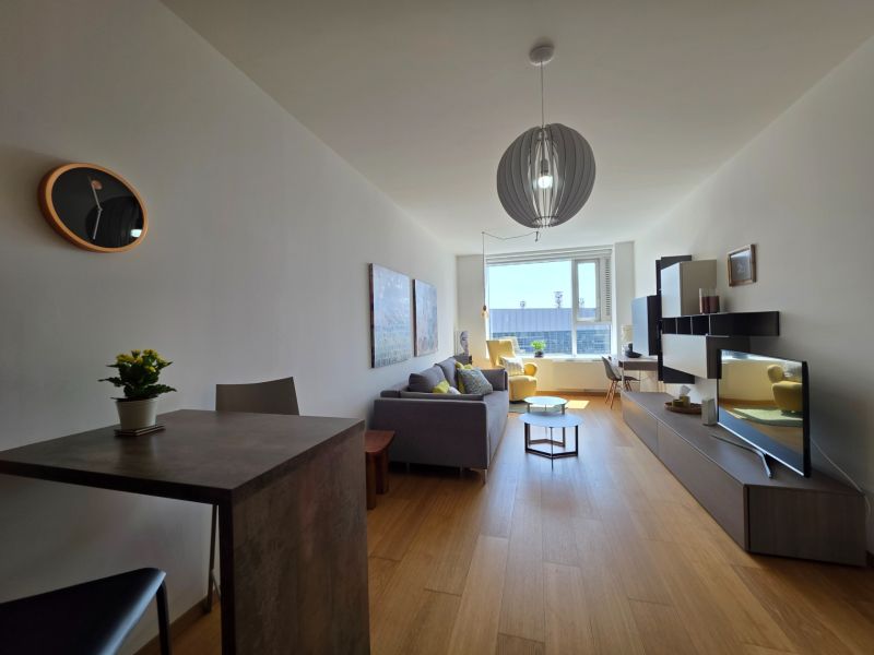 Living room in a studio apartment with wood-patterned flooring, a television, and a sofa.