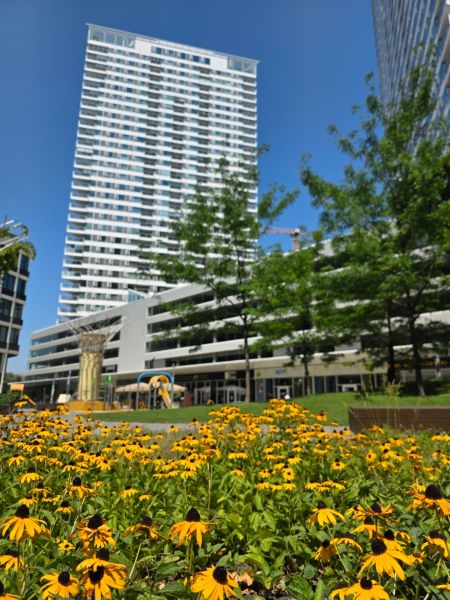 A flower garden in front of a high-rise building in the Bratislava district of Staré Mesto.