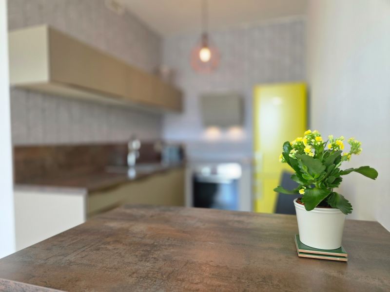 A kitchen in a studio apartment with a plant and a yellow refrigerator.