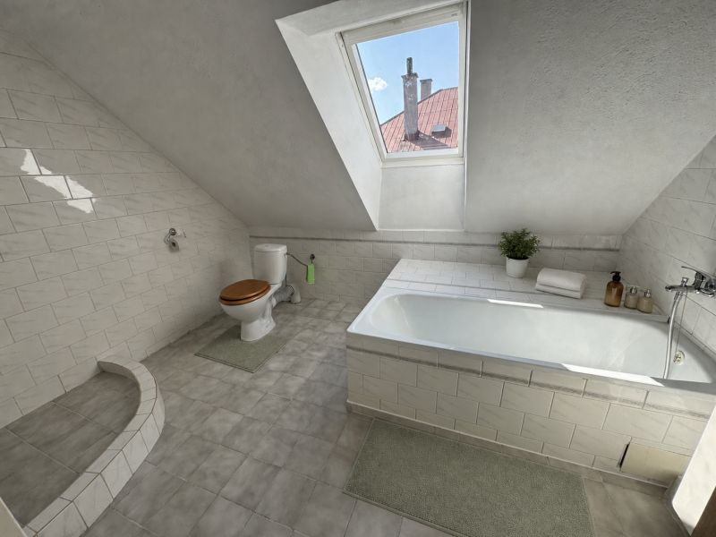 A bathroom in a family house with a bathtub, toilet, and skylight.